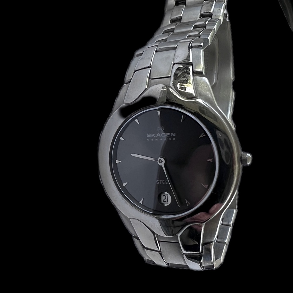 Men’s All Stainless Steel SKAGEN Watch